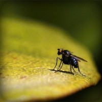 /album/taylorswift77/photolia-a07-jpg/